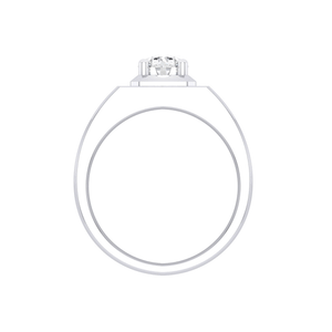 Diamond Ring Mounting