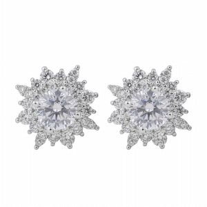 Diamond Earrings Mounting  E10646