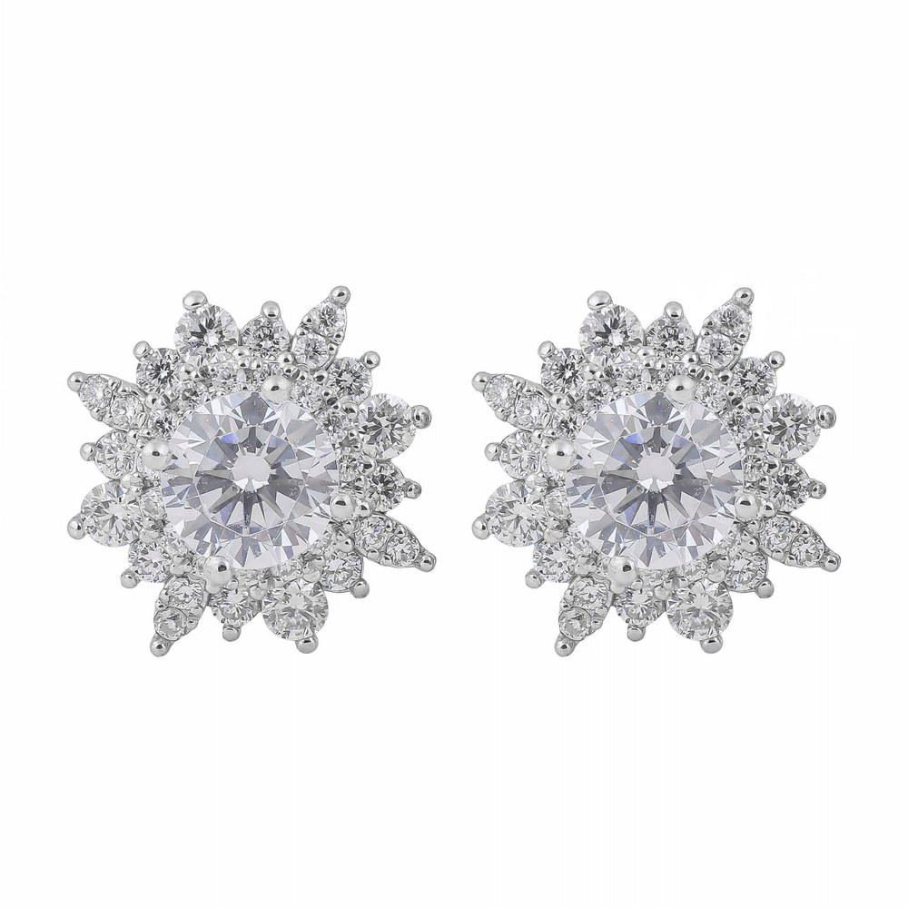 Diamond Earrings Mounting  E10646