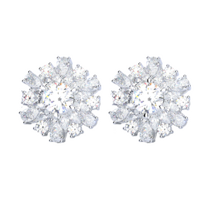 Diamond Earrings Mouting E10975