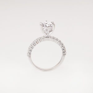 Diamond Ring Mounting
