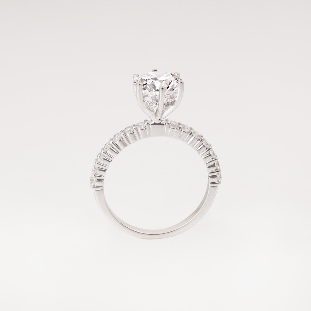 Diamond Ring Mounting