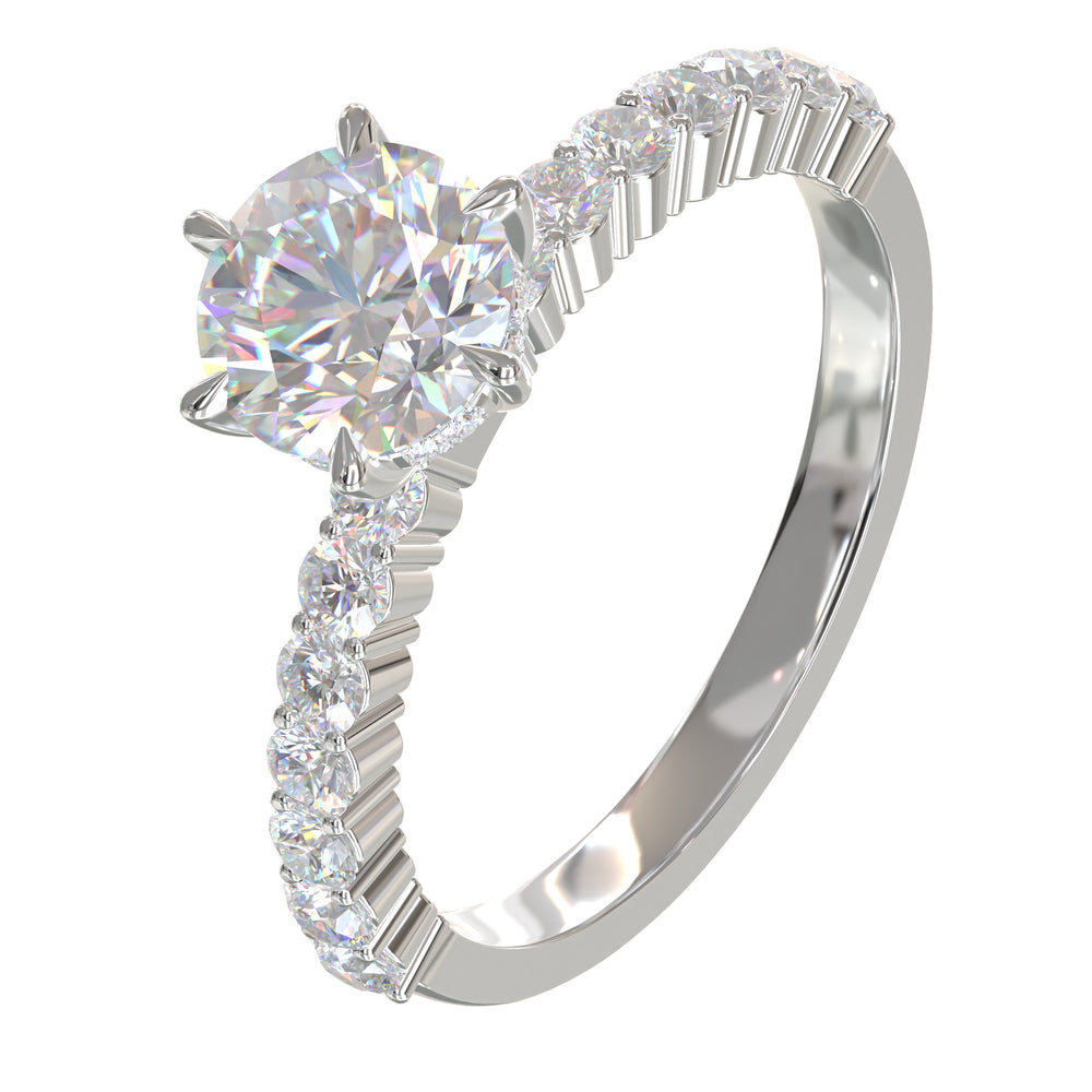 Diamond Ring Mounting