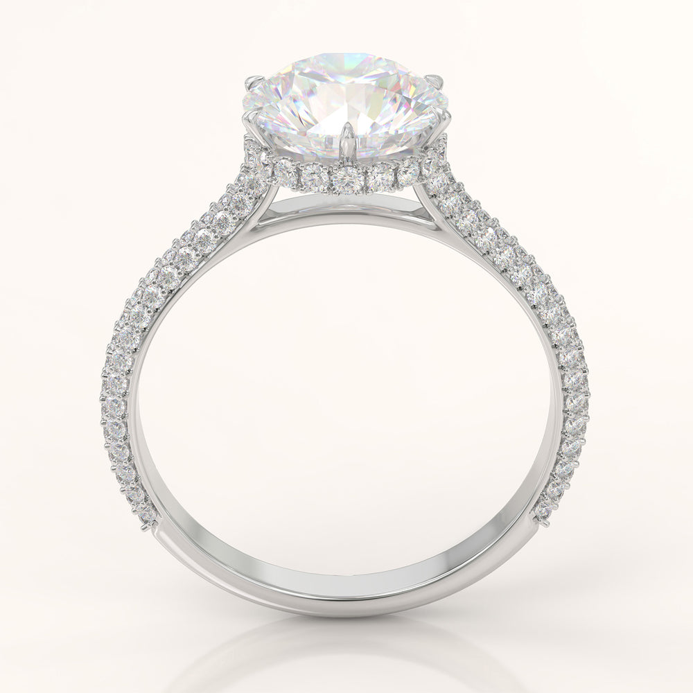Diamond Ring Mounting
