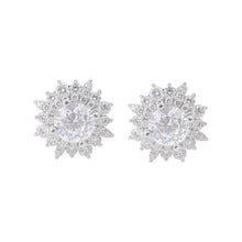 Diamond Earrings Mouting E10882
