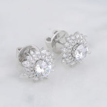 Diamond Earrings Mouting E10882
