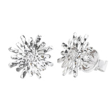 Diamond Earrings E10799