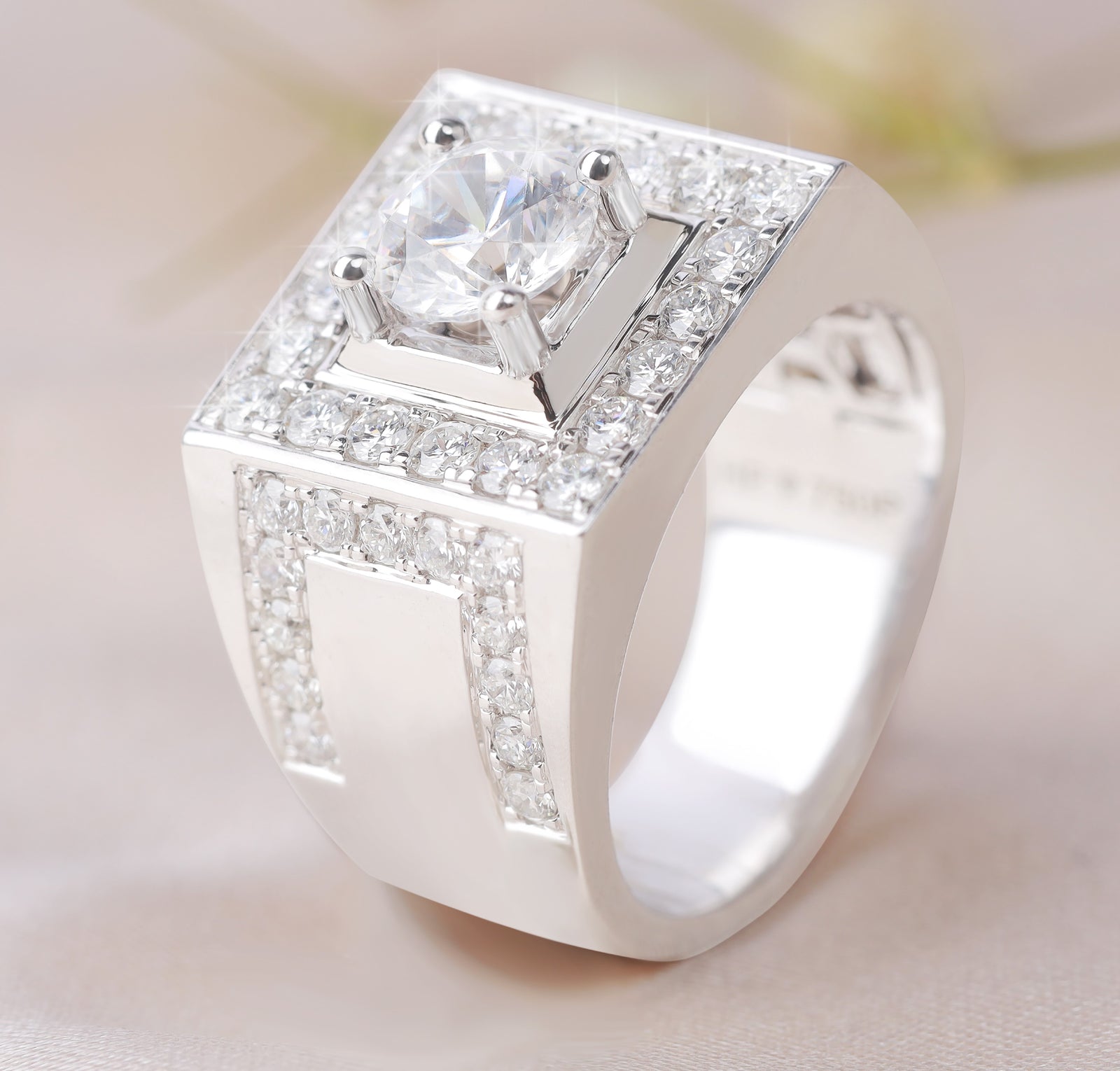Diamond Ring Mounting