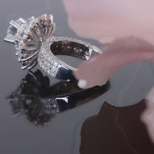 Diamond Ring Mounting