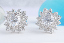 Diamond Earrings Mounting E10115
